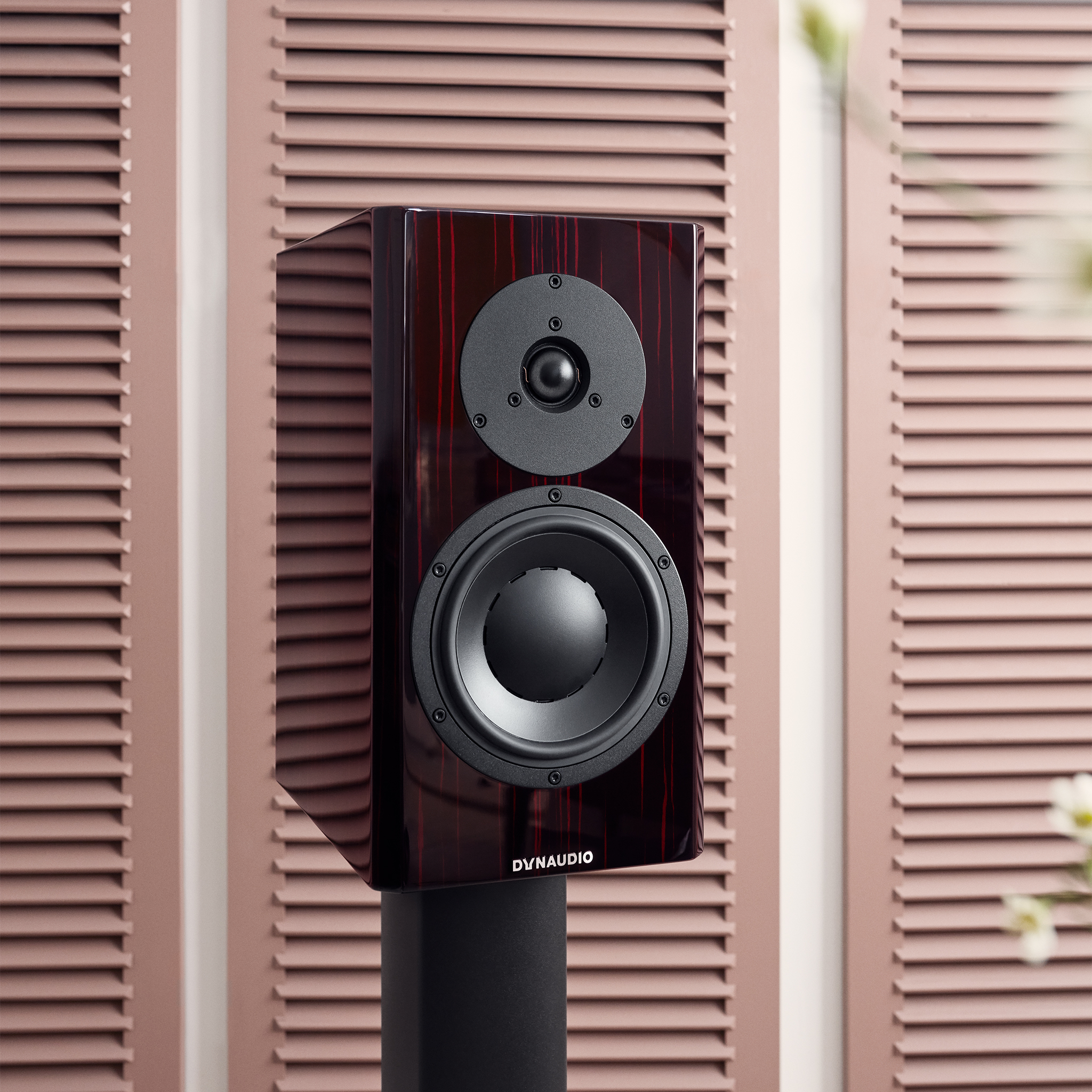 Dynaudio Special Forty_Black Vine_2048x2048px